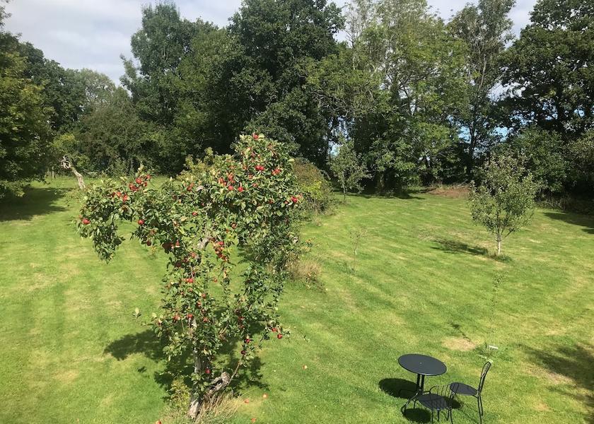 England Etchingham Garden