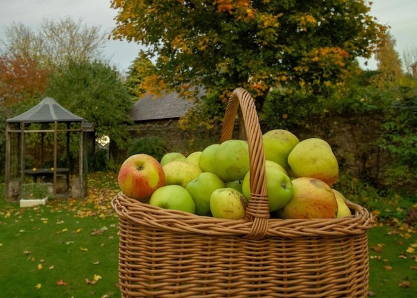 England Ross-on-Wye Property amenity