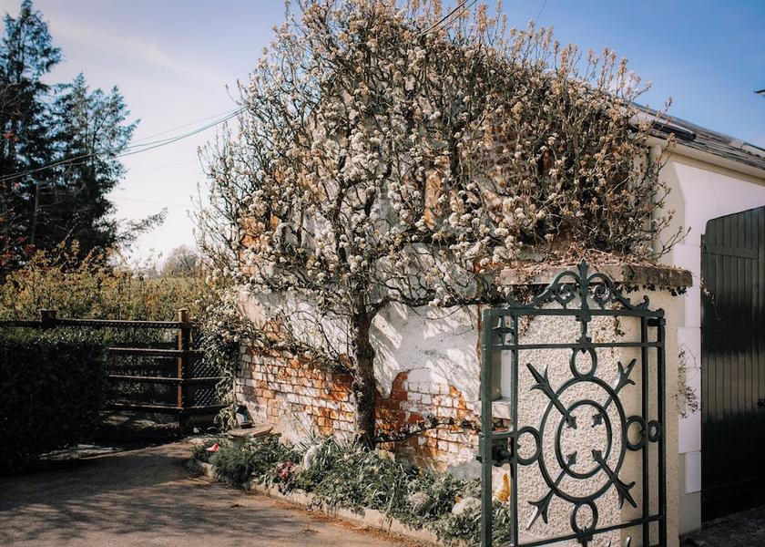 Northern Ireland Lisburn Exterior Detail