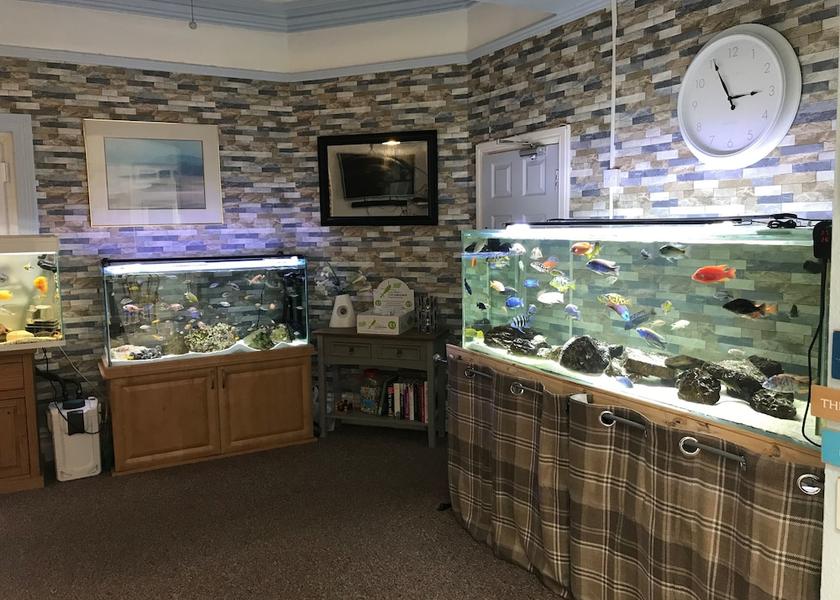 England Skegness Bar