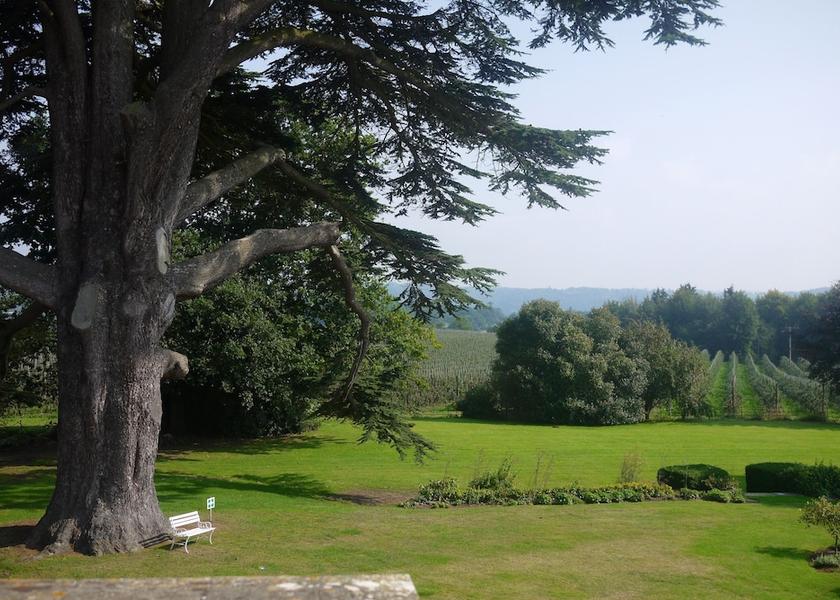 England Ross-on-Wye Room