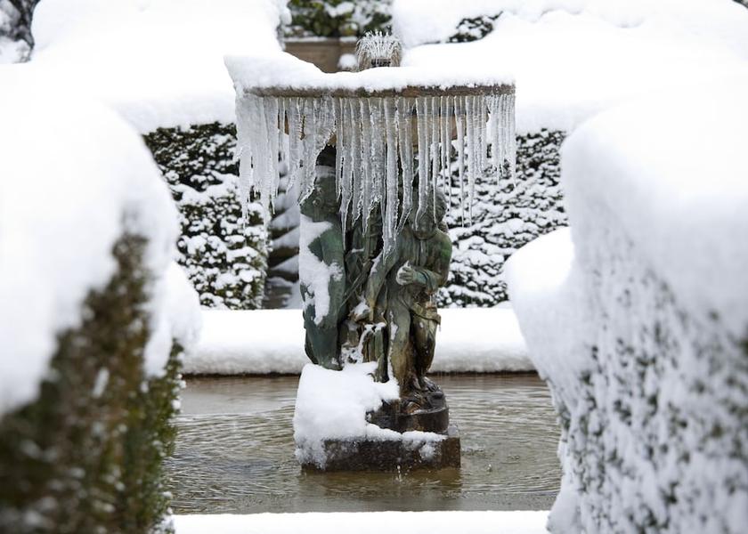England Kingston Upon Thames Garden