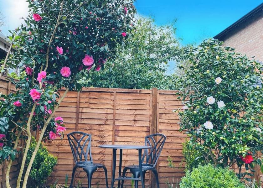 England Brockenhurst Terrace