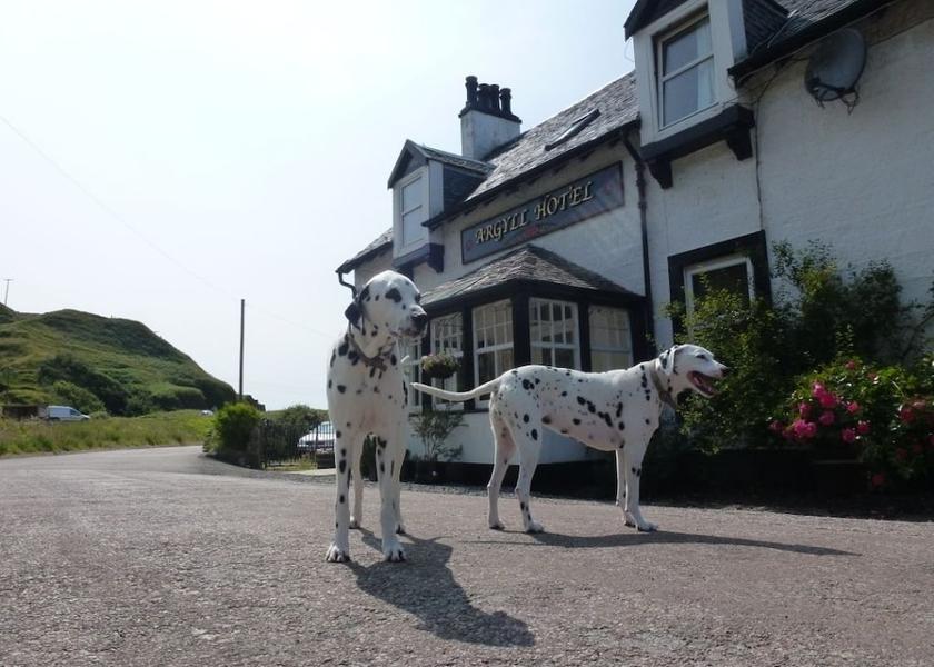 Scotland Campbeltown Primary image