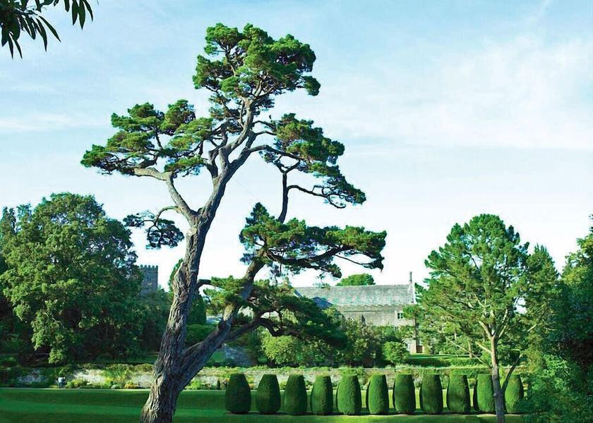 England Totnes Garden