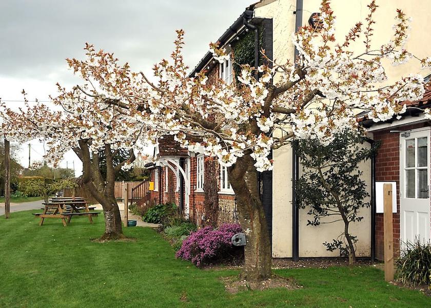 England Dereham Exterior Detail