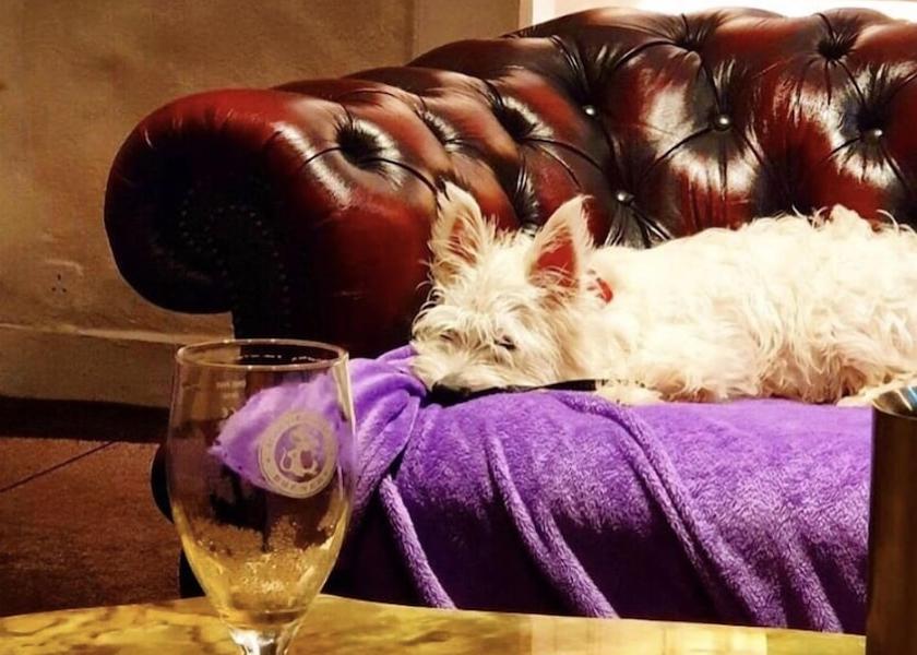 Scotland Dollar Interior Entrance