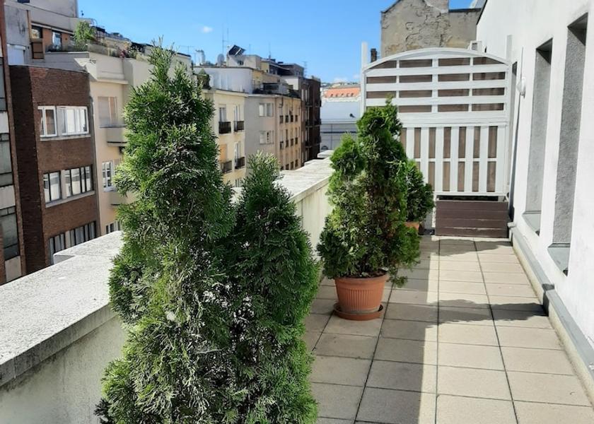 Budapest Room