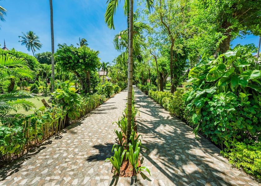 Phuket Patong View from Property