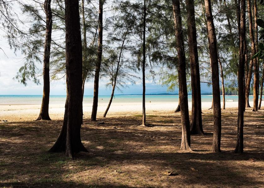 Phuket Sa Khu Beach