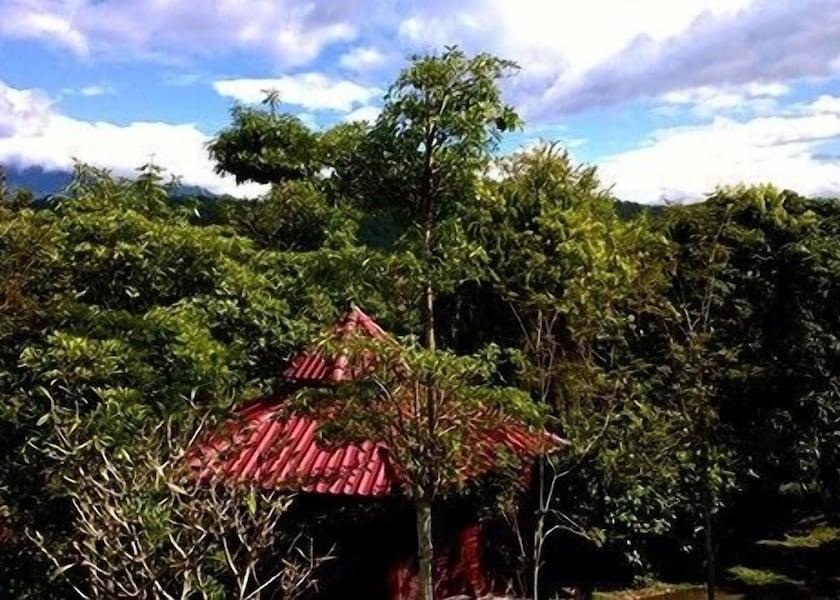 Chiang Mai Province mae chaem View from Property