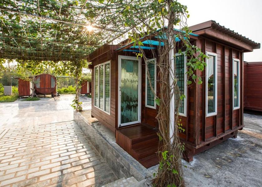 Chonburi pluak daeng Primary image