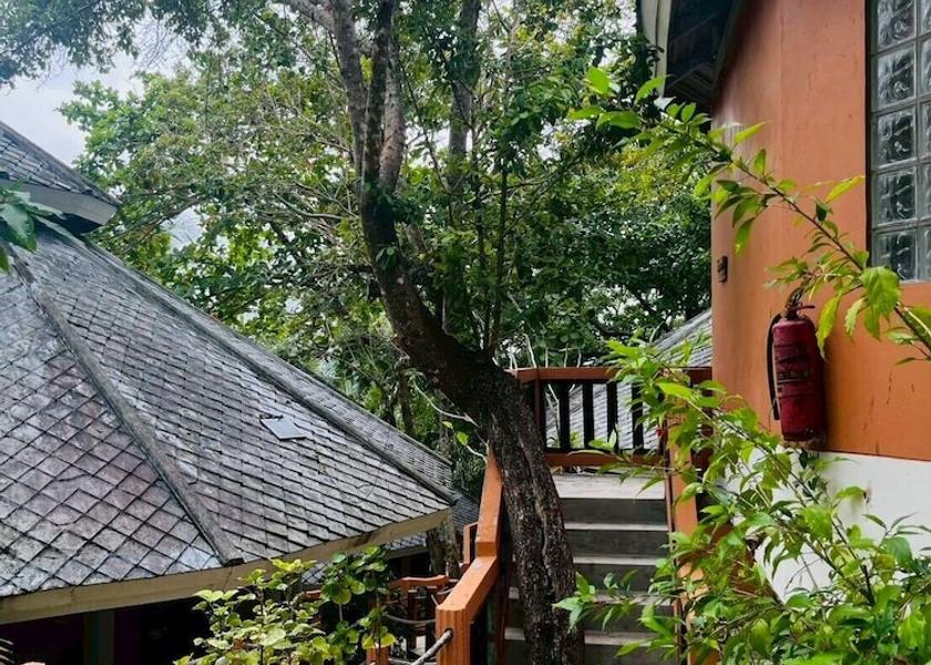 Surat Thani Province Ko Pha-ngan Front of property