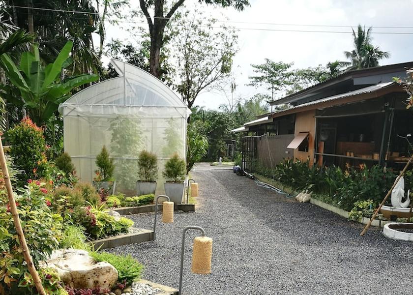 Nakhon Si Thammarat kathun Garden