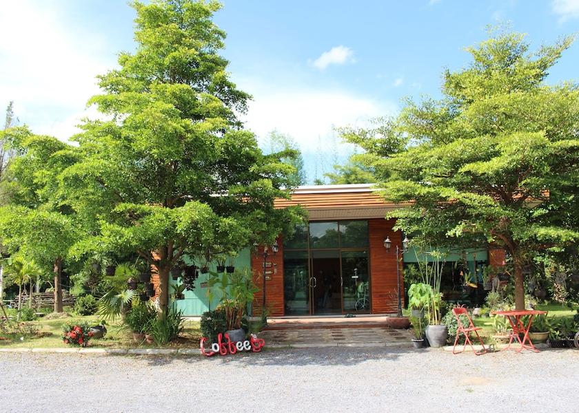 Loei Province Phu Kradueng Cafe