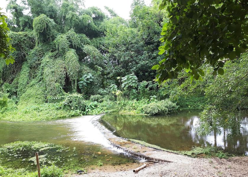 Ratchaburi Suan Phueng View from Property
