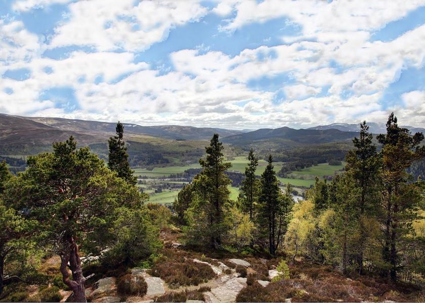 Scotland Ballater View from Property