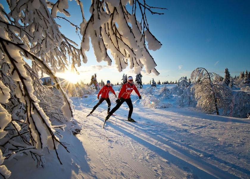 Troms (county) Tromso Skiing