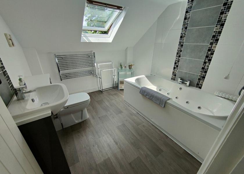 Wales Llanbrynmair Bathroom