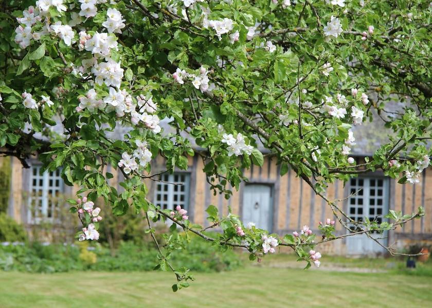 Normandy Saint-Aubin-De-Bonneval Facade