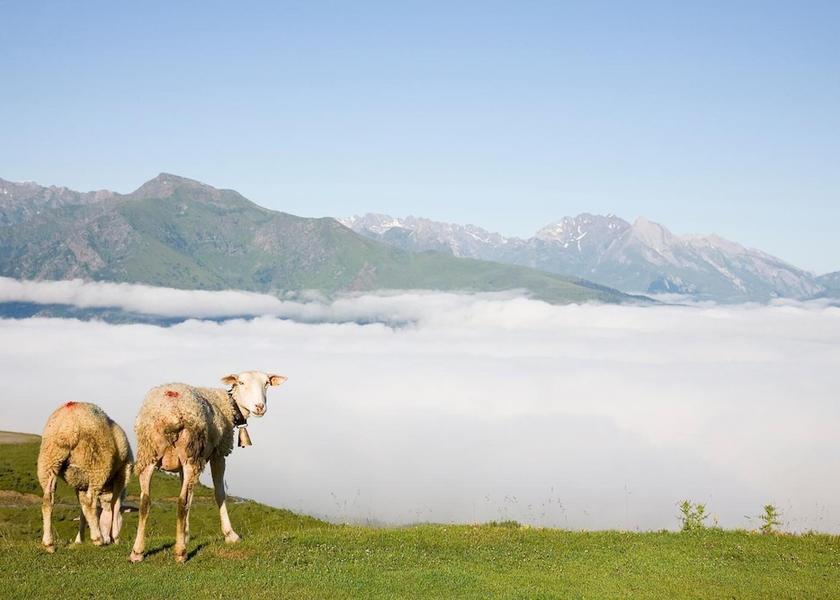 Occitanie Saint-Savin Property Grounds