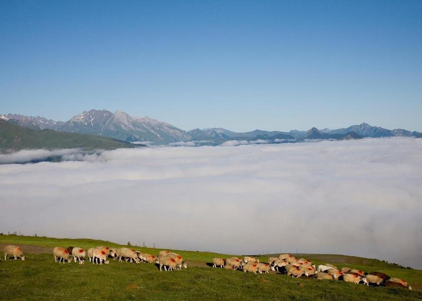 Occitanie Saint-Savin Property Grounds