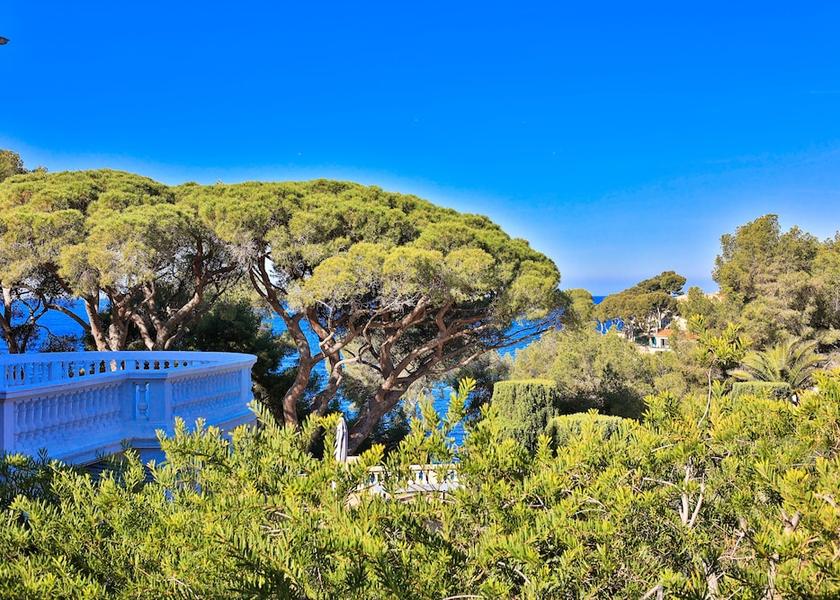 Provence - Alpes - Cote d'Azur Bandol View from Property
