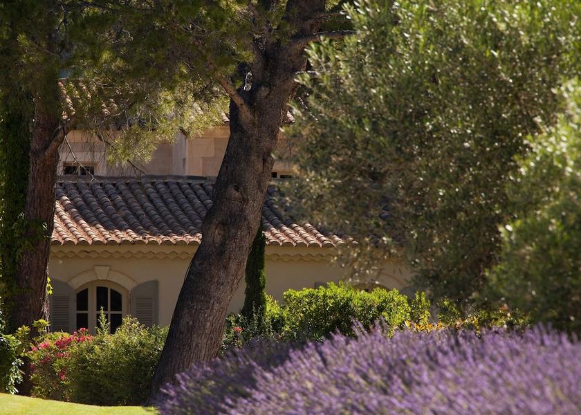 Provence-Alpes-Côte d'Azur Les Baux-de-Provence Garden
