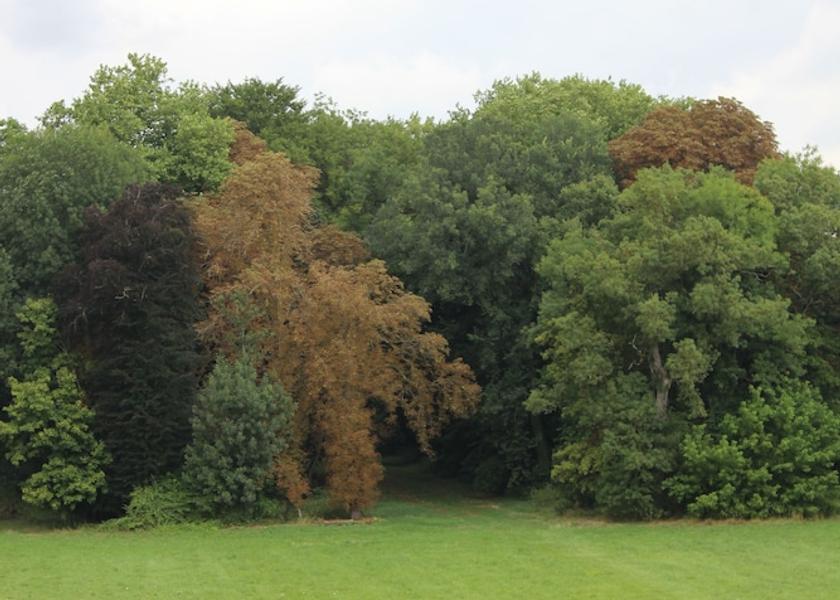 Centre - Loire Valley Blet View from Property