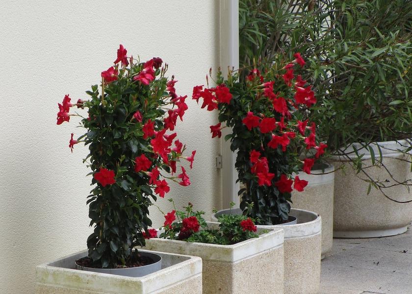 Nouvelle-Aquitaine Aytre Exterior Detail