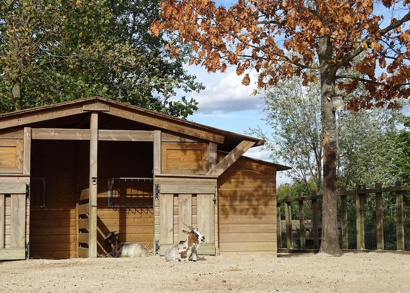 Île-de-France Magny-le-Hongre Property amenity