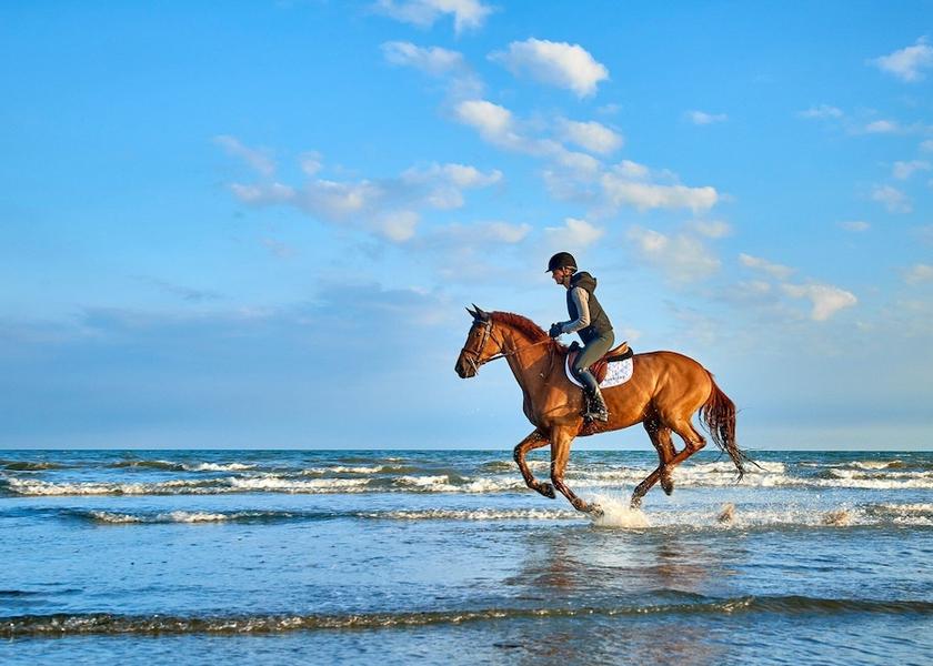 Normandy Deauville Horse Riding
