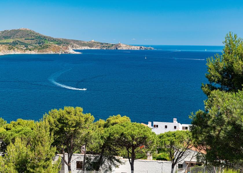 Occitanie Banyuls-sur-Mer Terrace