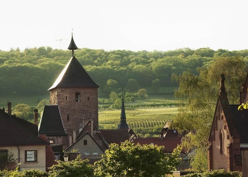 Grand Est Molsheim View from Property