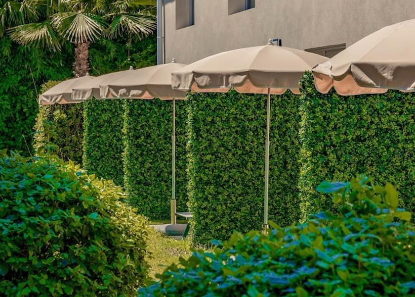 Provence - Alpes - Cote d'Azur Mougins Terrace