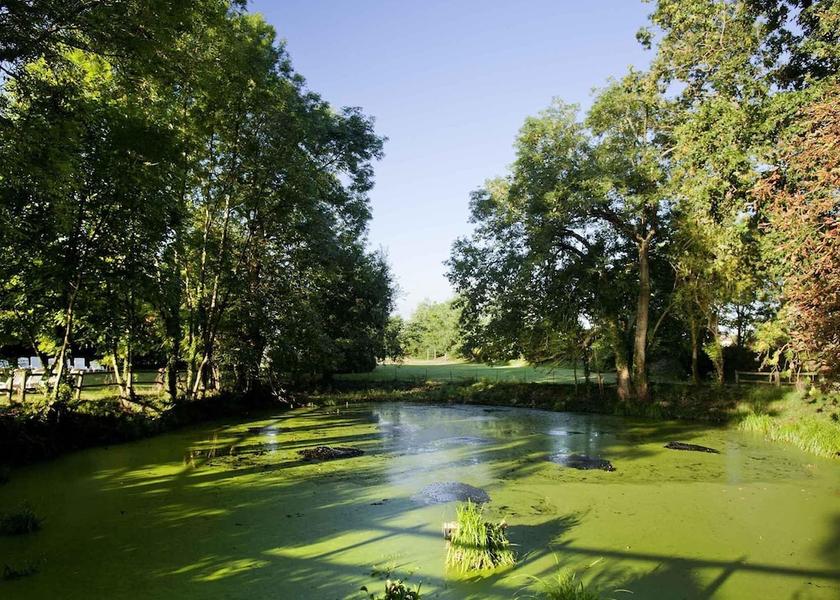 Île-de-France Saclay Miscellaneous