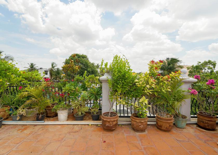 Tamil Nadu Chennai Outdoors