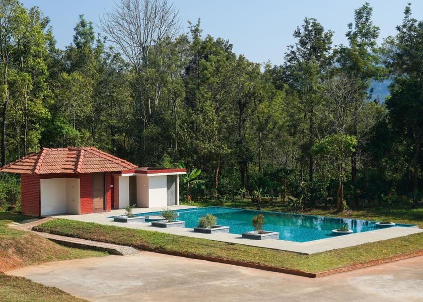 Kerala Wayanad Pool