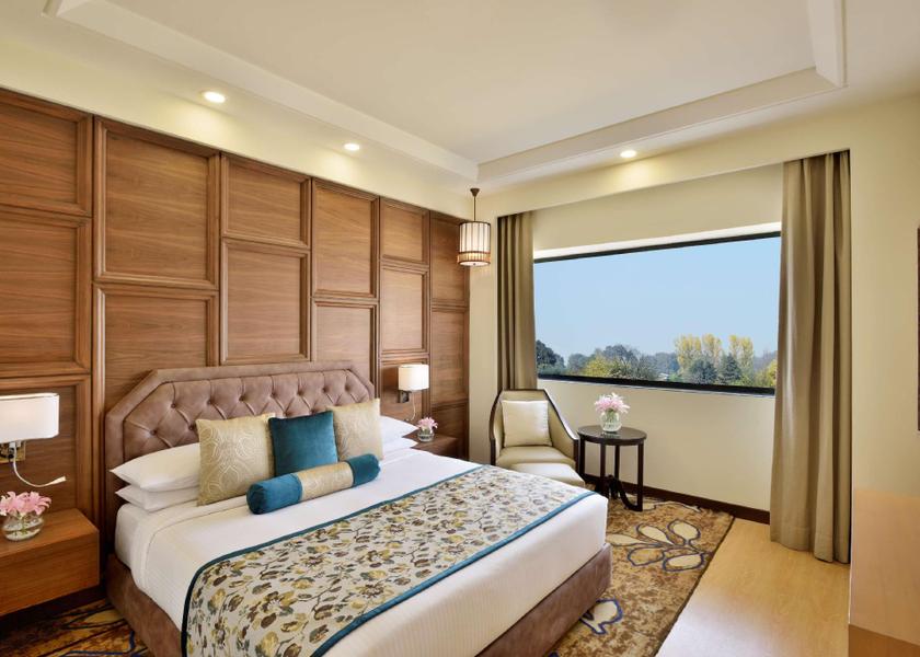 Jammu and Kashmir Srinagar Junior Suite