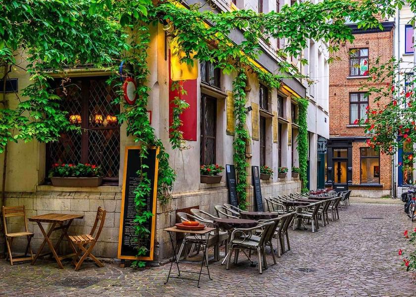 Flemish Region Antwerp City View from Property