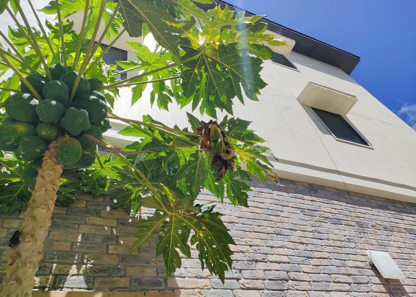 Koror Koror Exterior