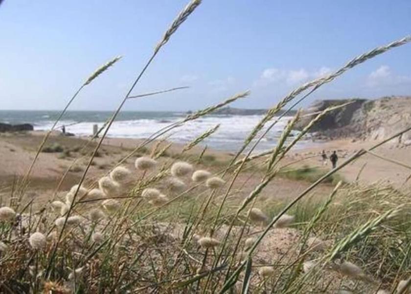 Brittany Saint-Pol-de-Leon Beach