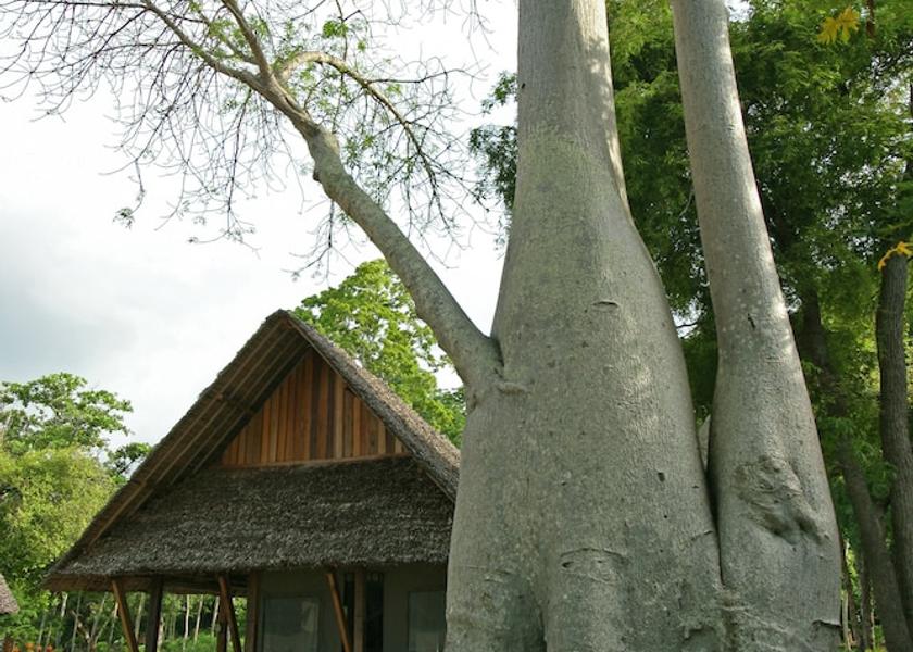  Andranira Exterior Detail