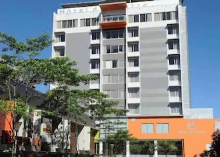  Noumea Property Grounds