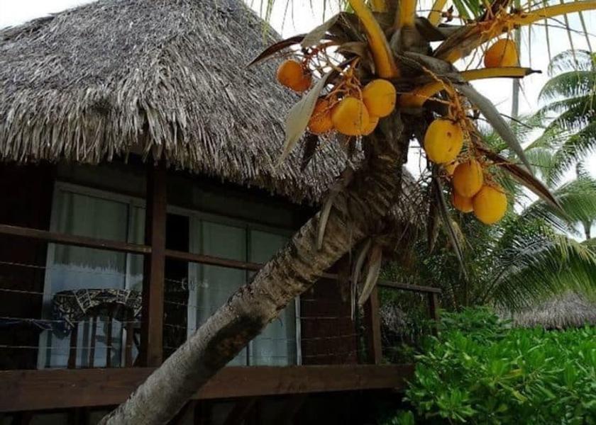 Windward Islands Moorea-Maiao Room
