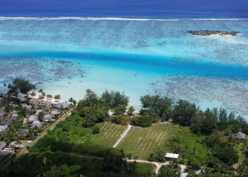  Moorea Primary image