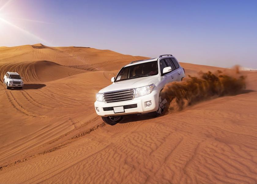  Doha Safari
