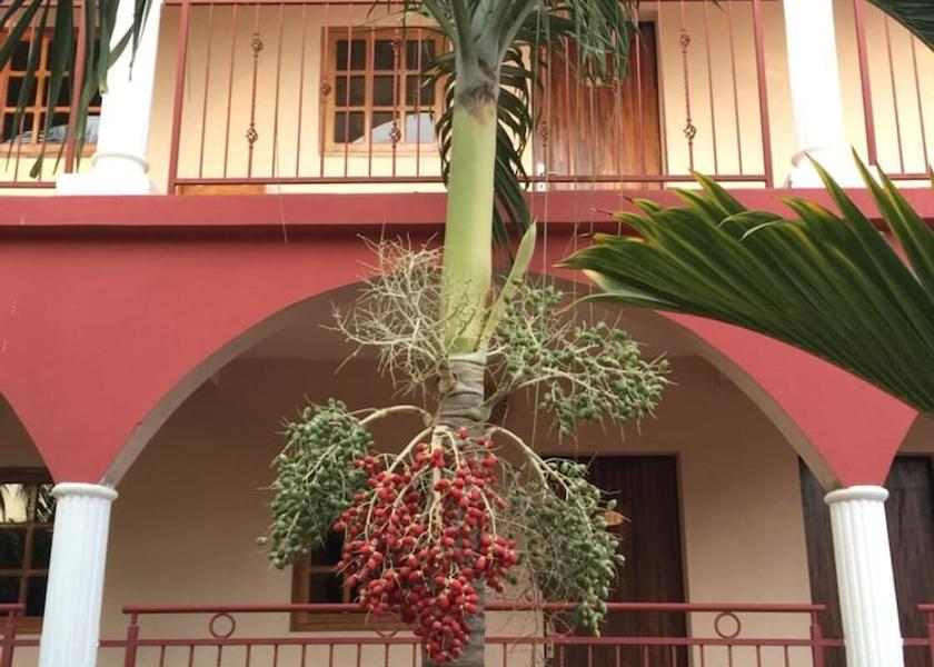  Ziguinchor Exterior Detail