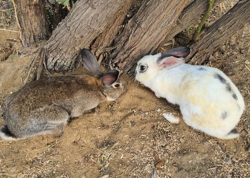  Mar Lodj Exterior Detail