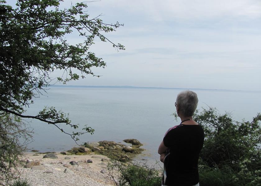 Syddanmark Fredericia Property Grounds